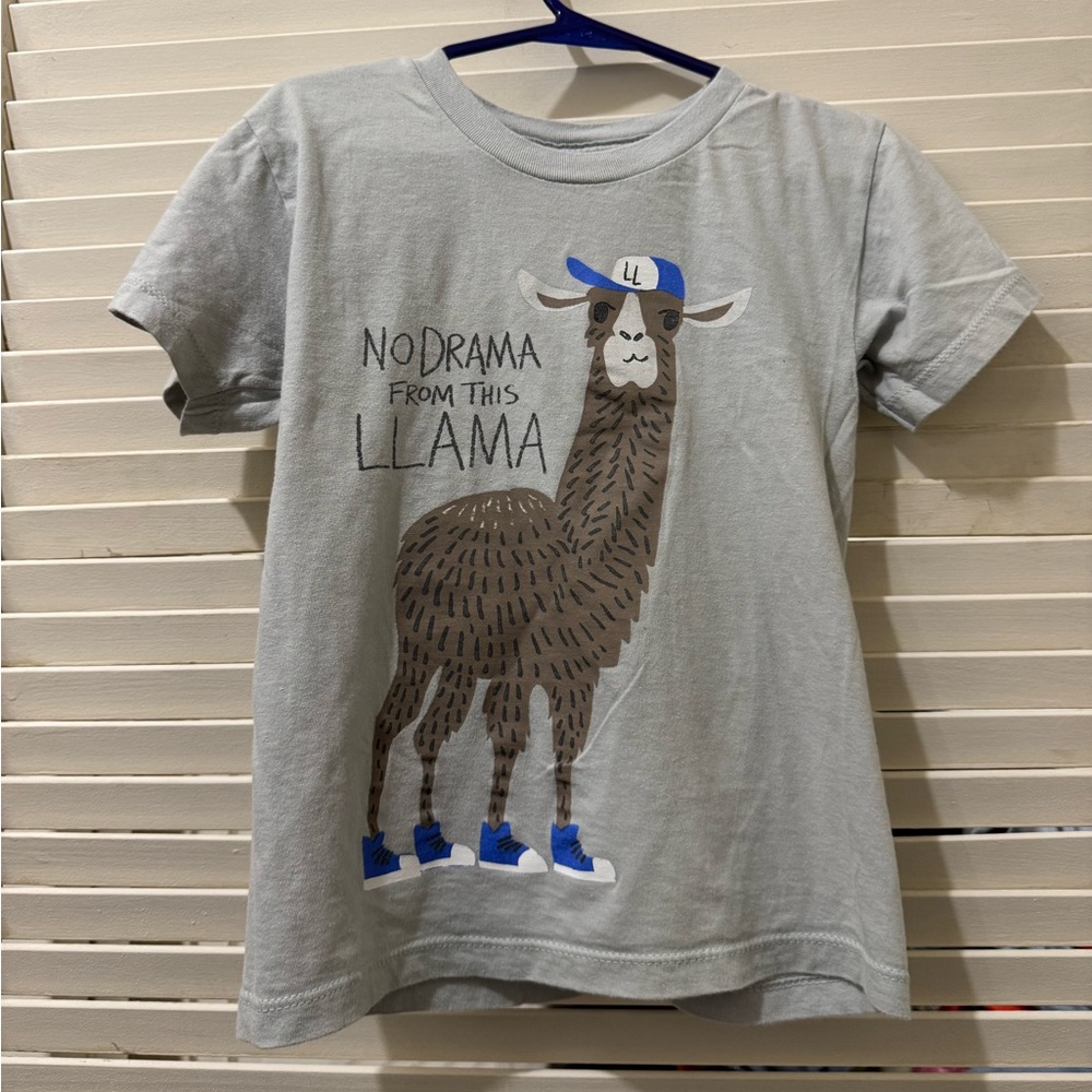 JEM Gray Llama Graphic Tee “No drama from this Llama”